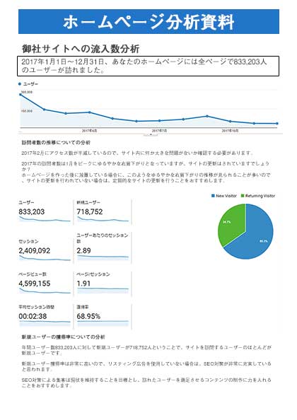 ホームページ分析資料、解析コメント